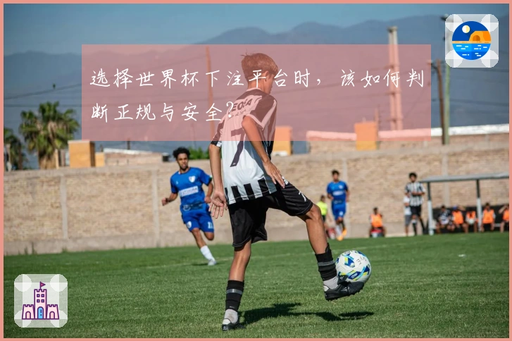 选择世界杯下注平台时,该如何判断正规与安全?